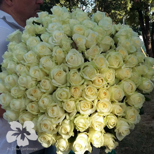 101 long white roses