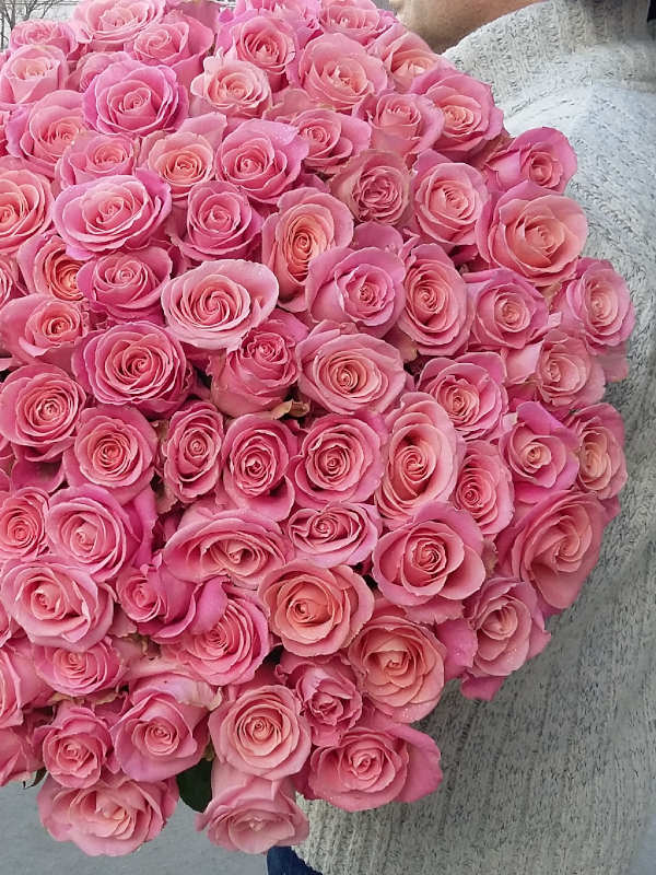 15 long light pink roses